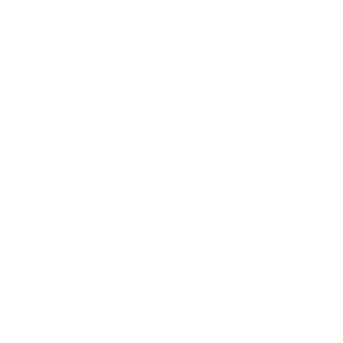 icon-1