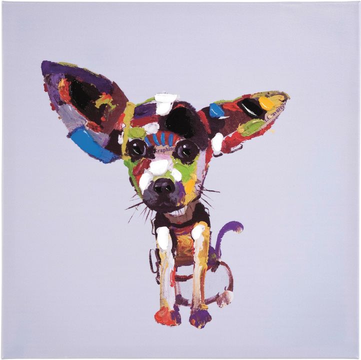 KARE Ölbild Chihuahua 50x50cm 33051