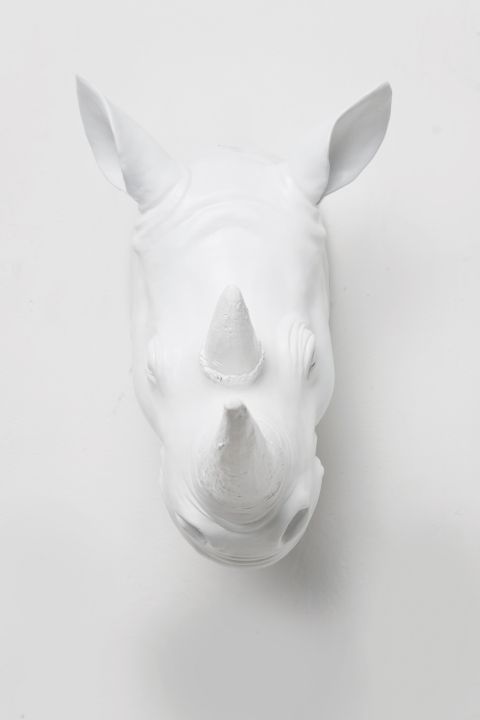 KARE Deko Kopf White Rhino 30410