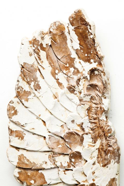 KARE Wandschmuck Antique Wings 34407